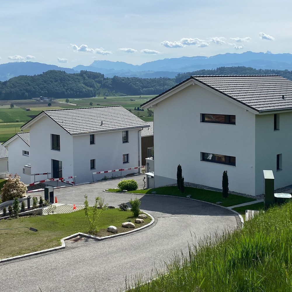 Alpenpanorama Kirchenthurnen