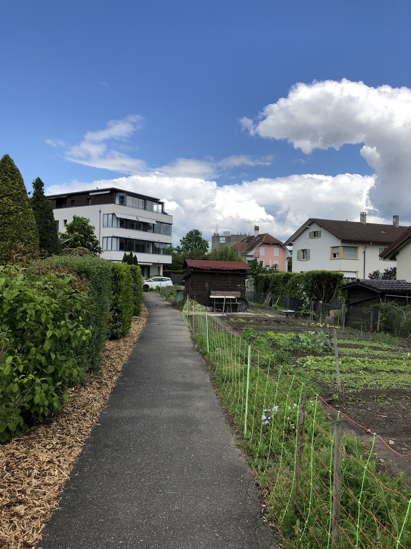 Garten